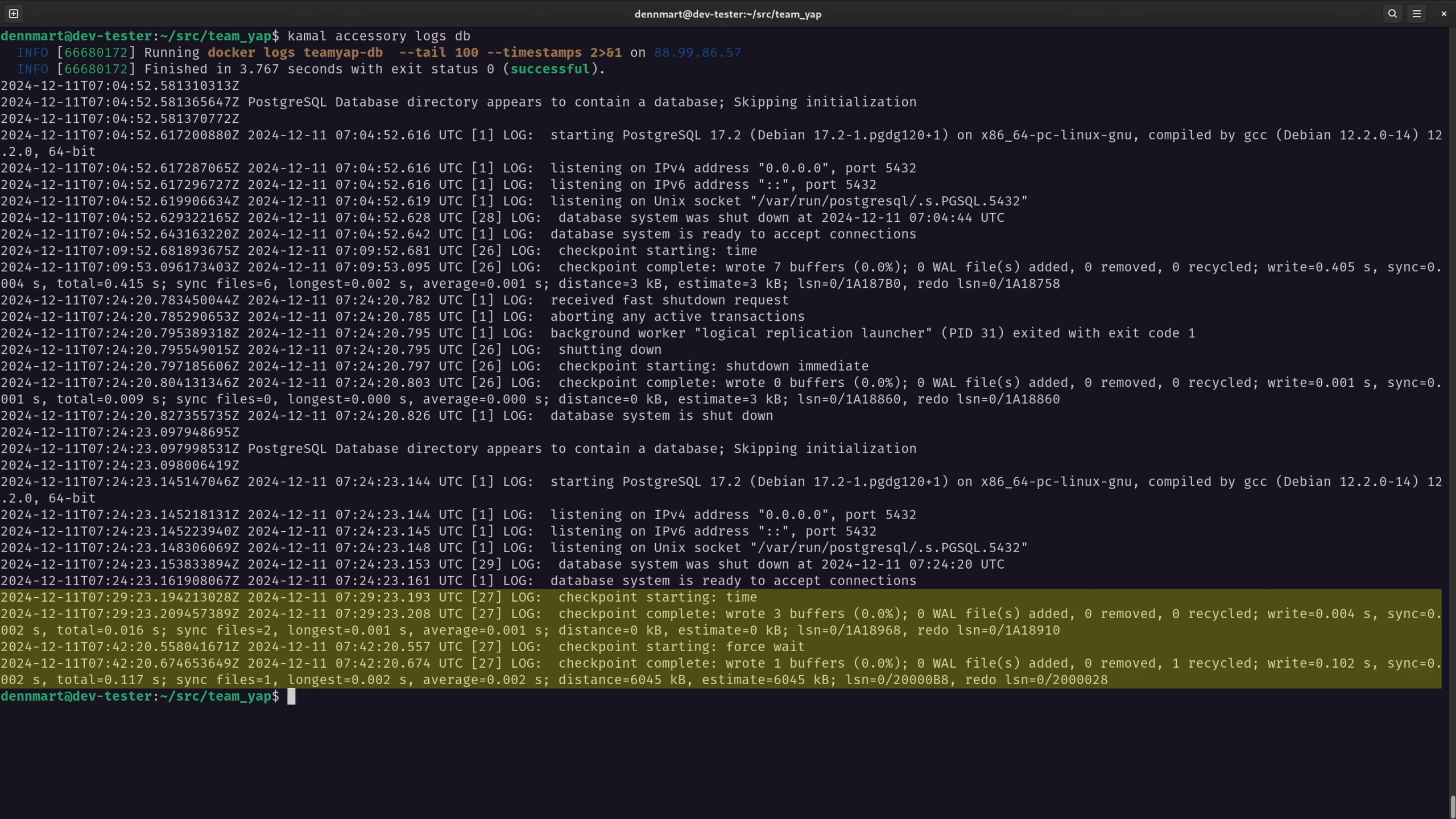 PostgreSQL - Primary database startup logs