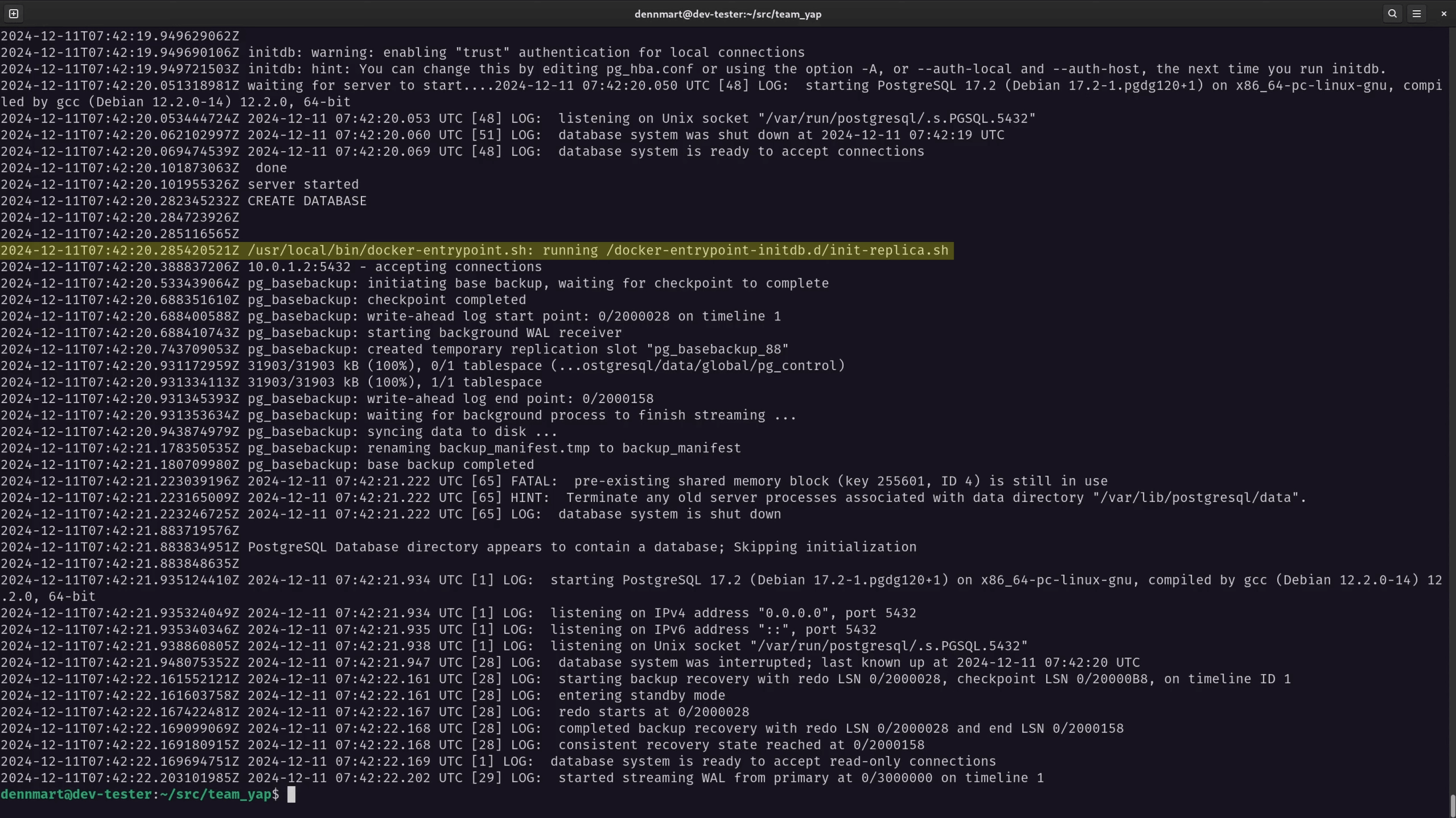 PostgreSQL - Replica database startup logs